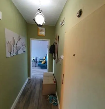 Cozy Borovo Apartamento *